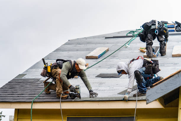 Professional Gutter Installation technician working in Harts, WV